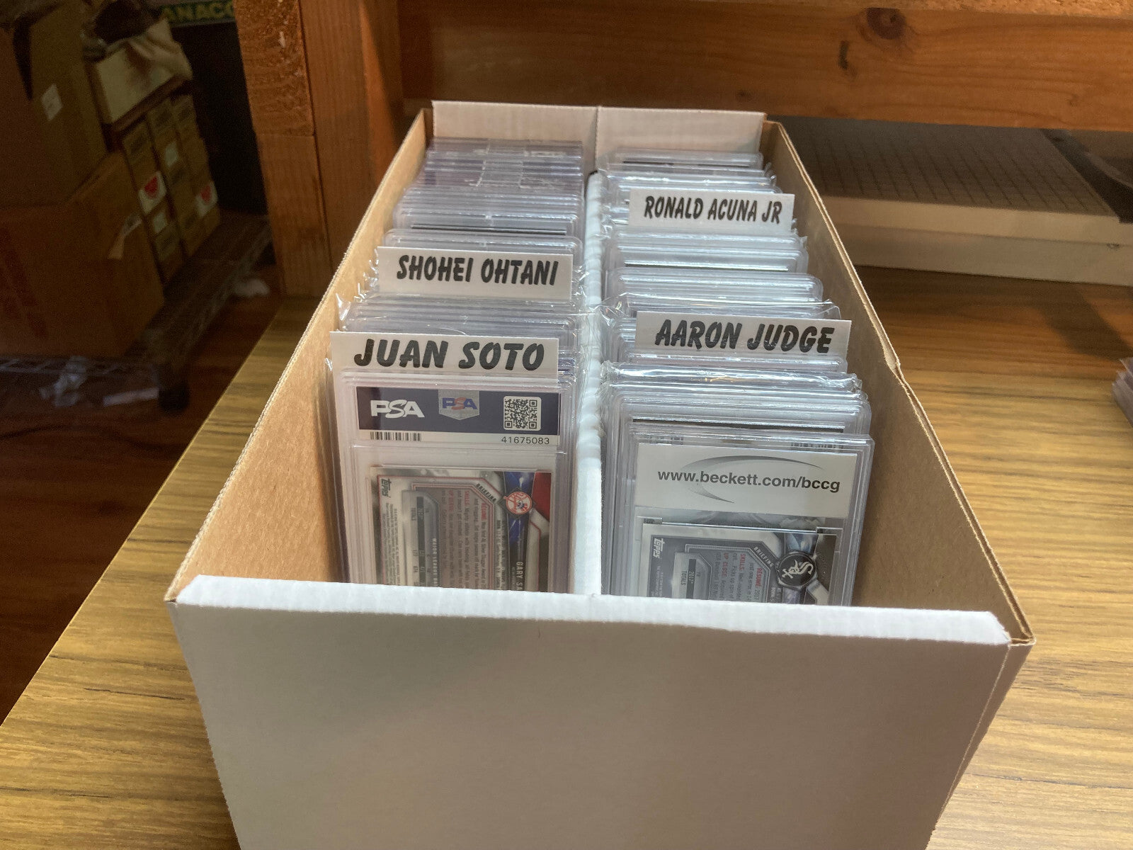 Graded Cards Laminated Box Dividers (Set of 24) Best Baseball Stars 3" x 5.75"